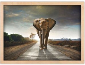 Ελέφαντας που περπατάει, Ζώα, Πίνακες σε καμβά, 20 x 15 εκ.