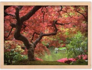 Ιαπωνικό σφεντάμι, Φύση, Πίνακες σε καμβά, 20 x 15 εκ.