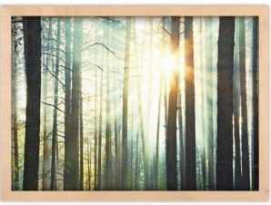 Ηλιοβασίλεμα στο δάσος, Φύση, Πίνακες σε καμβά, 20 x 15 εκ.