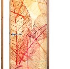 Διάφανα φύλλα, Φόντο – Τοίχοι, Αυτοκόλλητα πόρτας, 60 x 170 εκ.